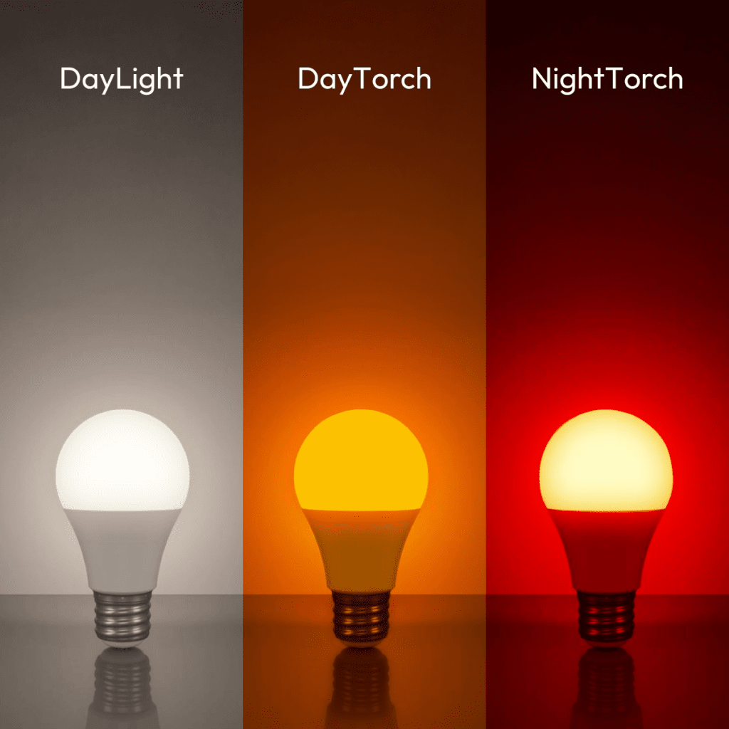 porównanie światła żarówek NightTorch, DayTorch i DayLight