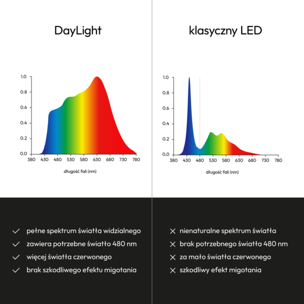 porównanie działania żarówek DayLight i klasycznych LEDów
