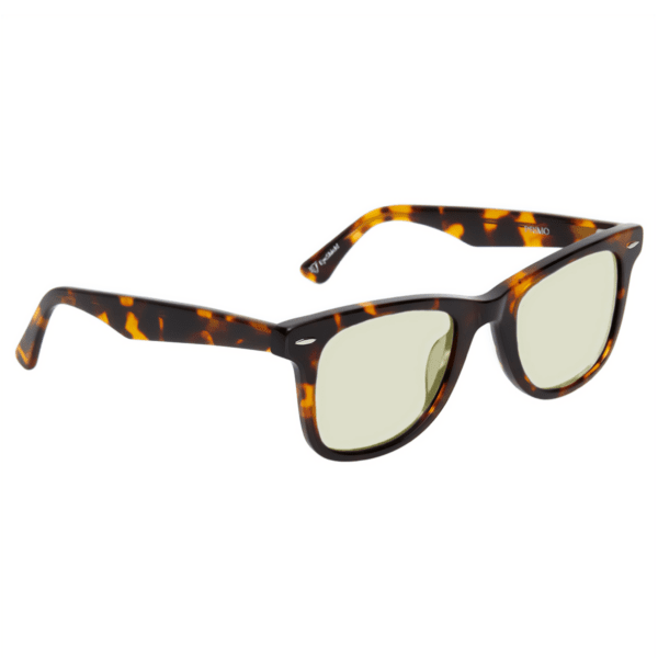 okulary primo dayshield