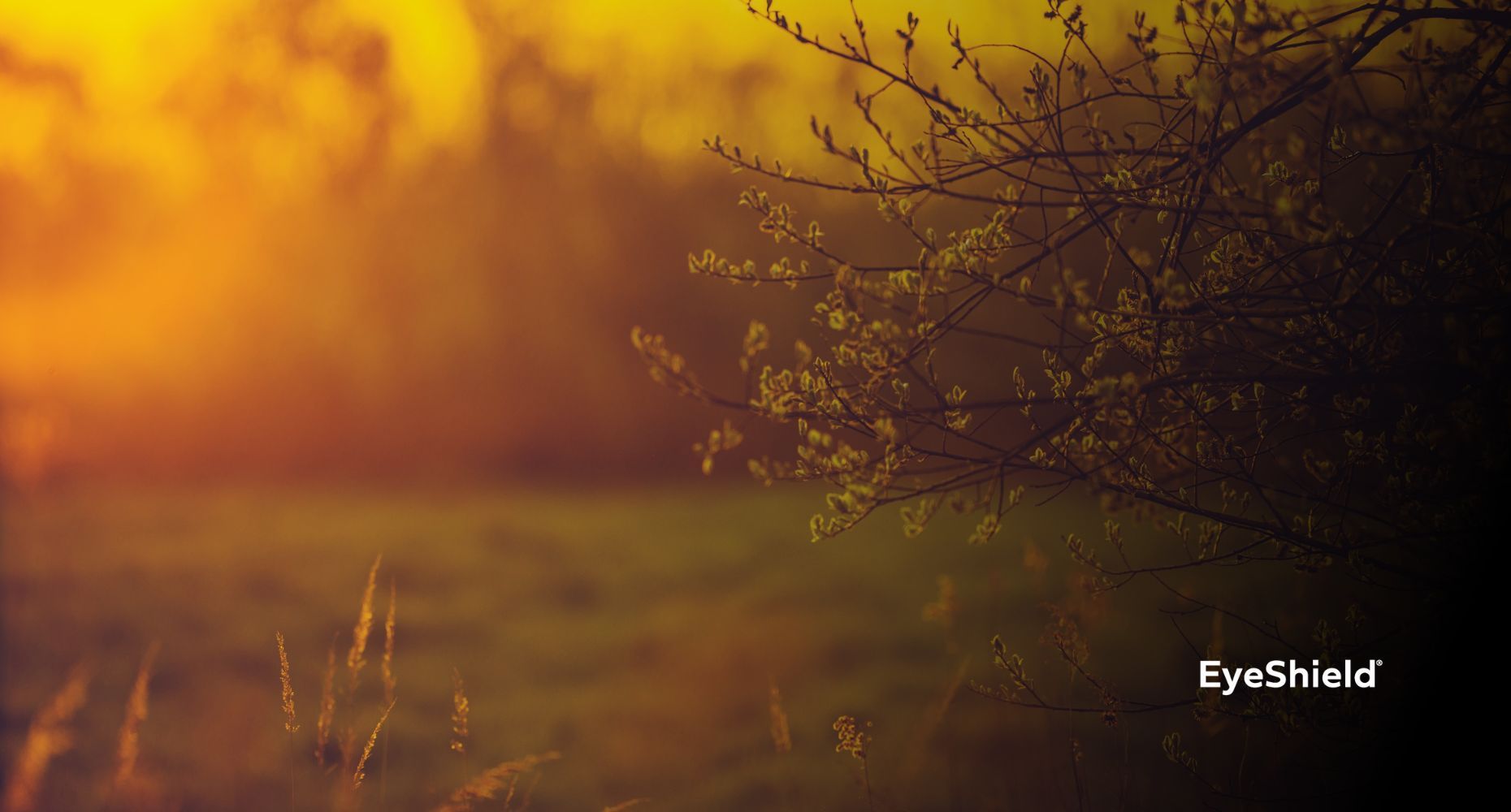 Ciepłe światło – jak barwa światła wpływa na nasze samopoczucie